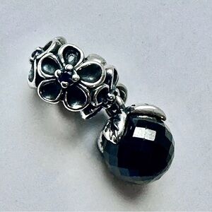 Pandora Garden Odyssey Black Spinal Dangle